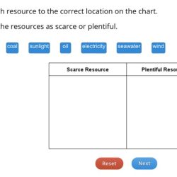 Resources are scarce for households but plentiful for economies