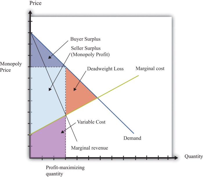 There is deadweight loss associated with the profit-maximizing output.