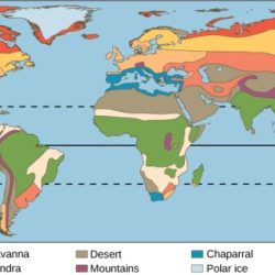 Zones climate climatic temperature weather factors zone temperate there affect affecting main sun warm temperatures hot angles which enero while