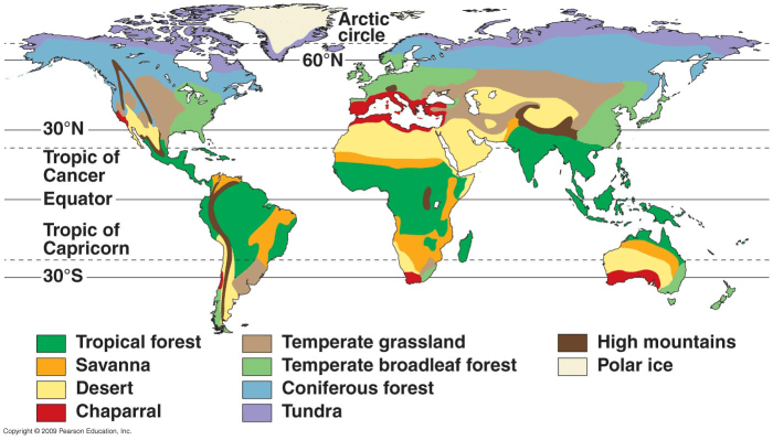 Which of the following is incorrect regarding tundra climates