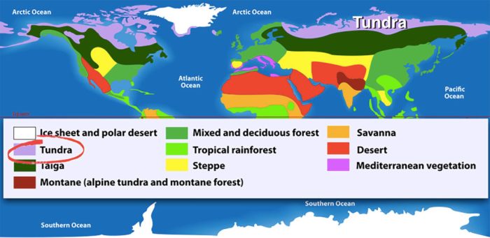 Which of the following is incorrect regarding tundra climates